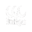 NORIEGAS INTERNATIONAL